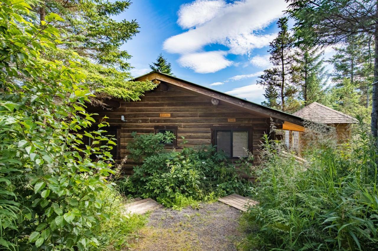 Stillpoint Lodge - All-Inclusive Halibut Cove Eksteriør billede