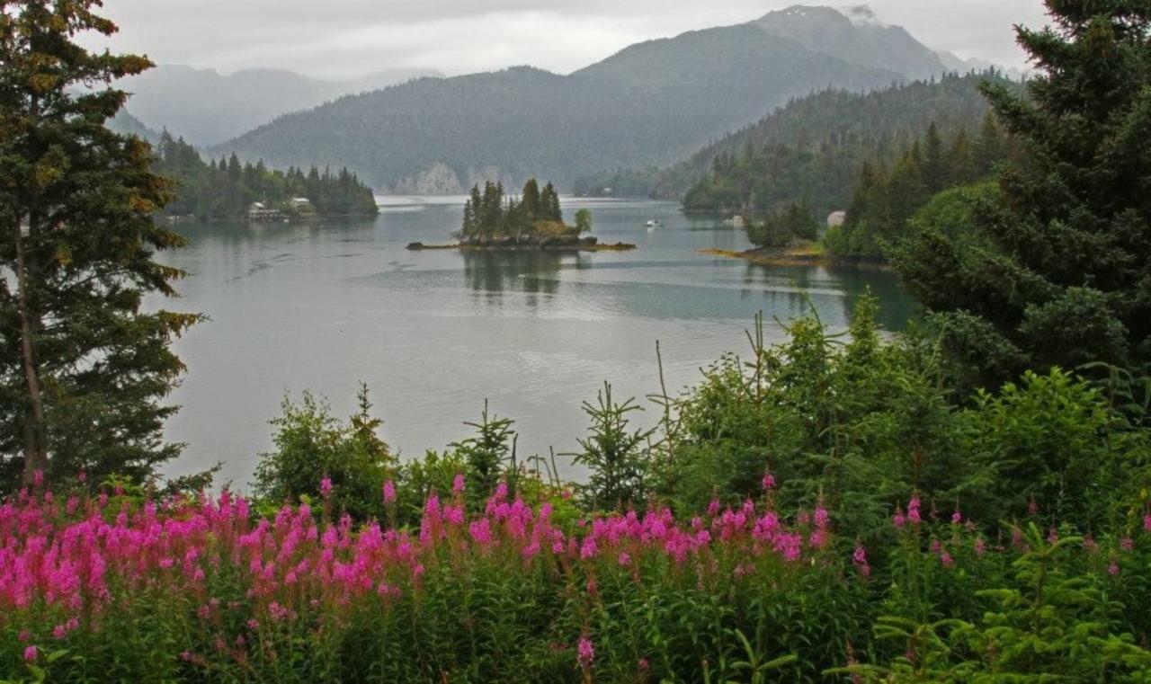 Stillpoint Lodge - All-Inclusive Halibut Cove Eksteriør billede